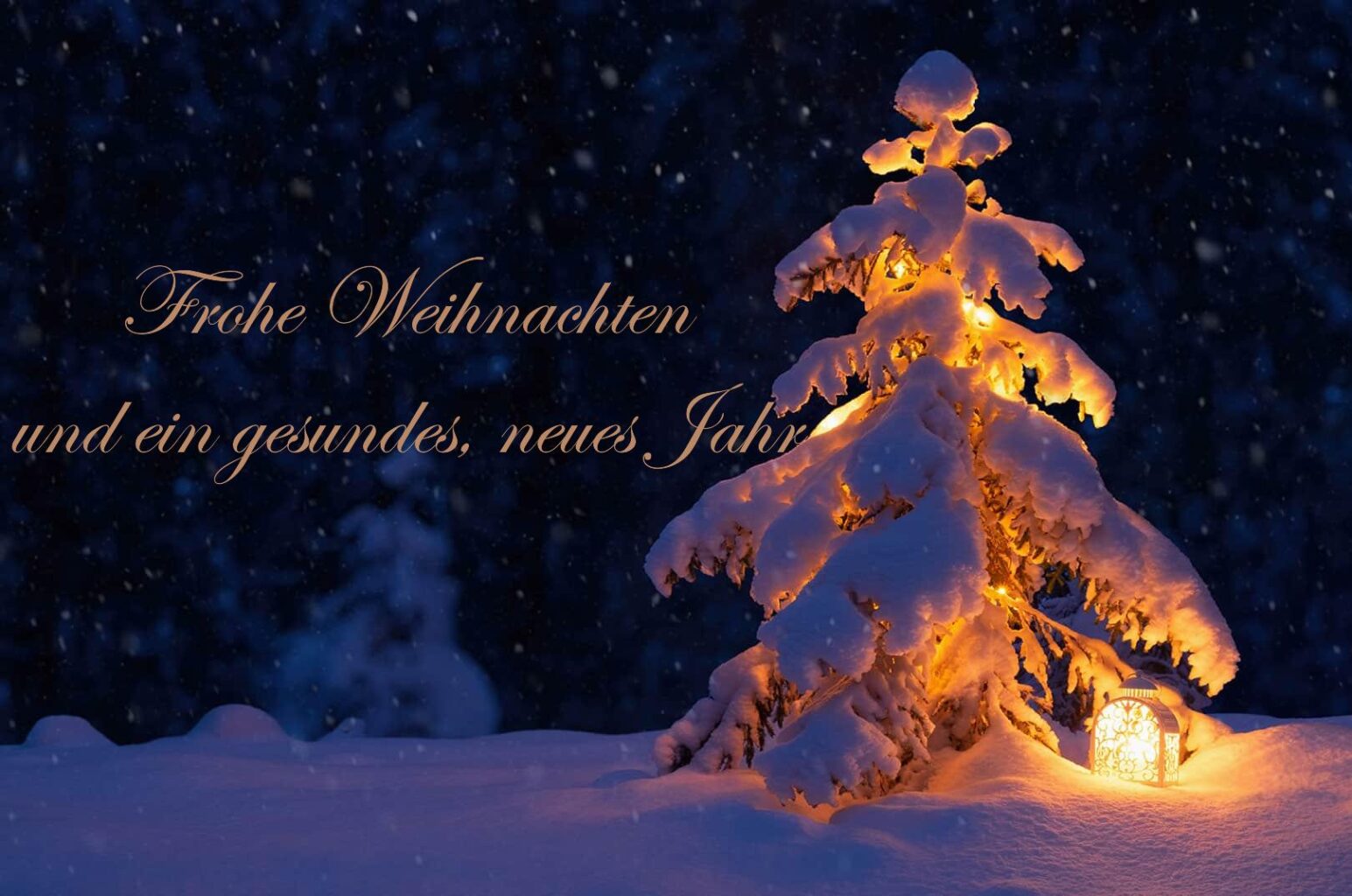 Weihnachtswuensche 2024 mit Text