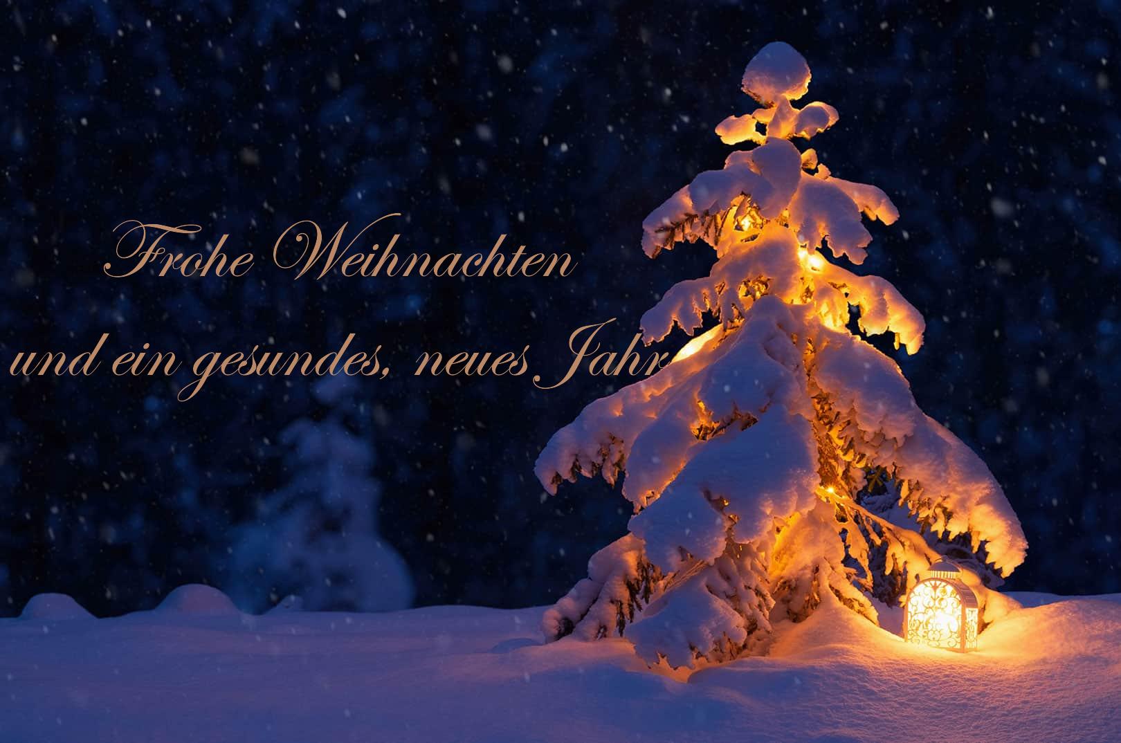 Weihnachtswuensche 2024 mit